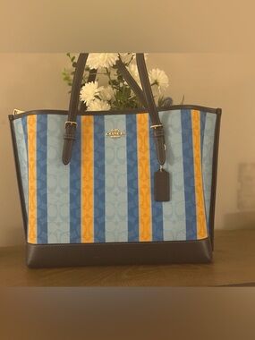 Coach Striped Tote in Light Blue, Royal Blue & Yellow